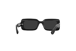 Rückansicht Havaianas SAMPA (807/IR)