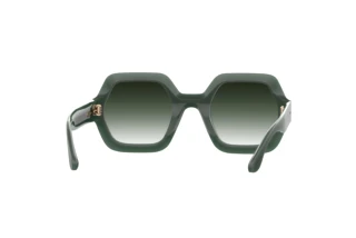 Rückansicht Isabel Marant IM 0004/N/S (1ED/9K)