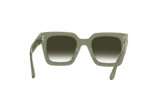 Rückansicht Isabel Marant IM 0104/S (1ED/9K)