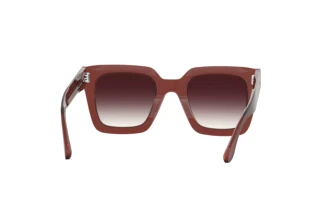 Rückansicht Isabel Marant IM 0104/S (C9A/3X)