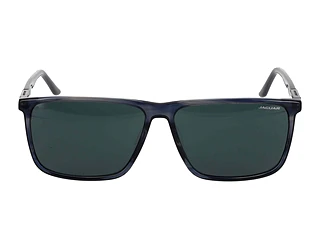 Seitenansicht Jaguar 37123 (5223)