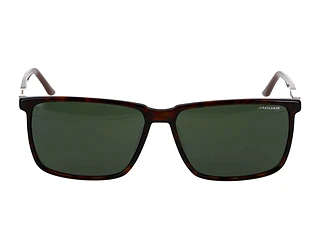 Seitenansicht Jaguar 37123 (8940)