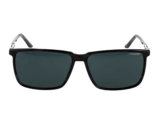 Seitenansicht Jaguar 37124 (5318)