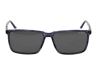 Seitenansicht Jaguar 37124 (5319)