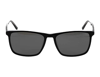 Seitenansicht Jaguar 37181 (4929)