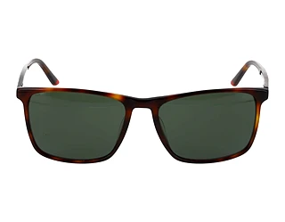 Seitenansicht Jaguar 37181 (4982)