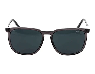 Seitenansicht Jaguar 37205 (5206)