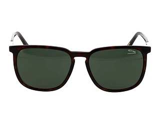 Seitenansicht Jaguar 37205 (8940)