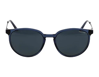 Seitenansicht Jaguar 37262 (5313)