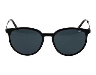 Seitenansicht Jaguar 37262 (8840)