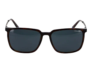 Seitenansicht Jaguar 37263 (5307)