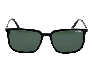 Seitenansicht Jaguar 37263 (8840)