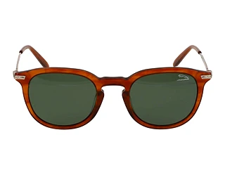 Seitenansicht Jaguar 37281 (5201)