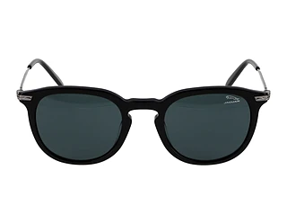 Seitenansicht Jaguar 37281 (8840)