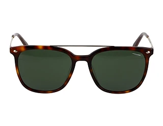 Seitenansicht Jaguar 37283 (4982)