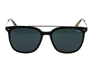 Seitenansicht Jaguar 37283 (5336)