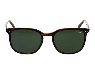 Seitenansicht Jaguar 37284 (4801)