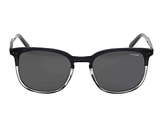 Seitenansicht Jaguar 37284 (5306)