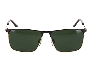 Seitenansicht Jaguar 37371 (5100)