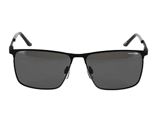 Seitenansicht Jaguar 37371 (6100)