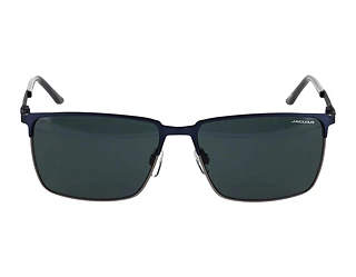 Seitenansicht Jaguar 37372 (3100)