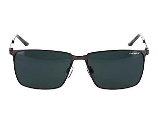 Seitenansicht Jaguar 37372 (4200)