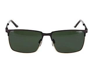 Seitenansicht Jaguar 37372 (5100)