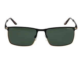 Seitenansicht Jaguar 37373 (4100)