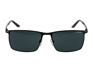 Seitenansicht Jaguar 37373 (4200)