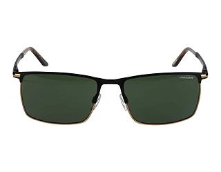 Seitenansicht Jaguar 37373 (6100)