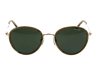 Seitenansicht Jaguar 37467 (5286)