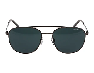 Seitenansicht Jaguar 37468 (4200)