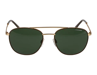 Seitenansicht Jaguar 37468 (5100)