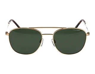 Seitenansicht Jaguar 37468 (6000)