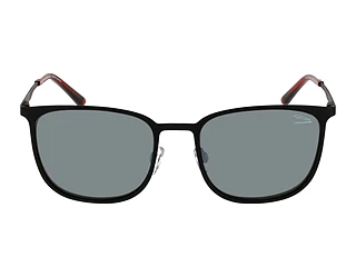 Seitenansicht Jaguar 37505 (6100)