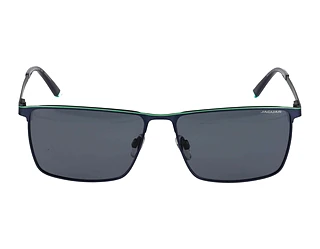 Seitenansicht Jaguar 37511 (3100)