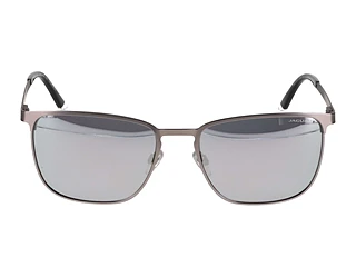 Seitenansicht Jaguar 37512 (6500)