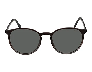 Seitenansicht Jaguar 37613 (5100)