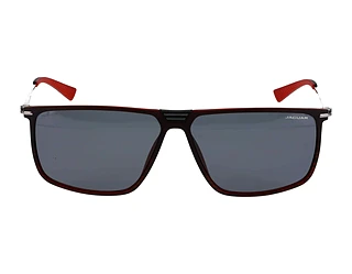 Seitenansicht Jaguar 37627 (2100)