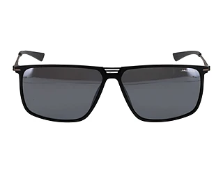 Seitenansicht Jaguar 37627 (6100)