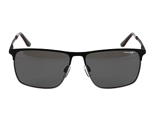 Seitenansicht Jaguar 37822 (6500)