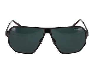 Seitenansicht Jaguar 37824 (4200)