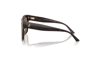 Seitenansicht Jimmy Choo JC5003 (512573)