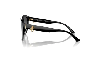 Seitenansicht Jimmy Choo JC5007 (50008G)