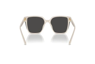 Rückansicht Jimmy Choo JC5016D (500887)