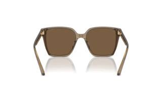 Rückansicht Jimmy Choo JC5016D (505173)