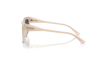 Seitenansicht Jimmy Choo JC5018U (50258G)