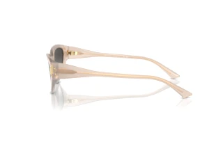 Seitenansicht Jimmy Choo JC5019 (50258G)