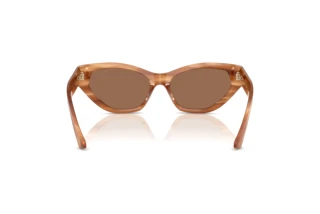 Rückansicht Jimmy Choo JC5022B (505573)