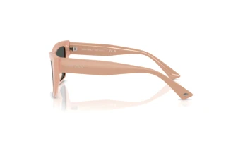 Seitenansicht Jimmy Choo JC5028 (501987)